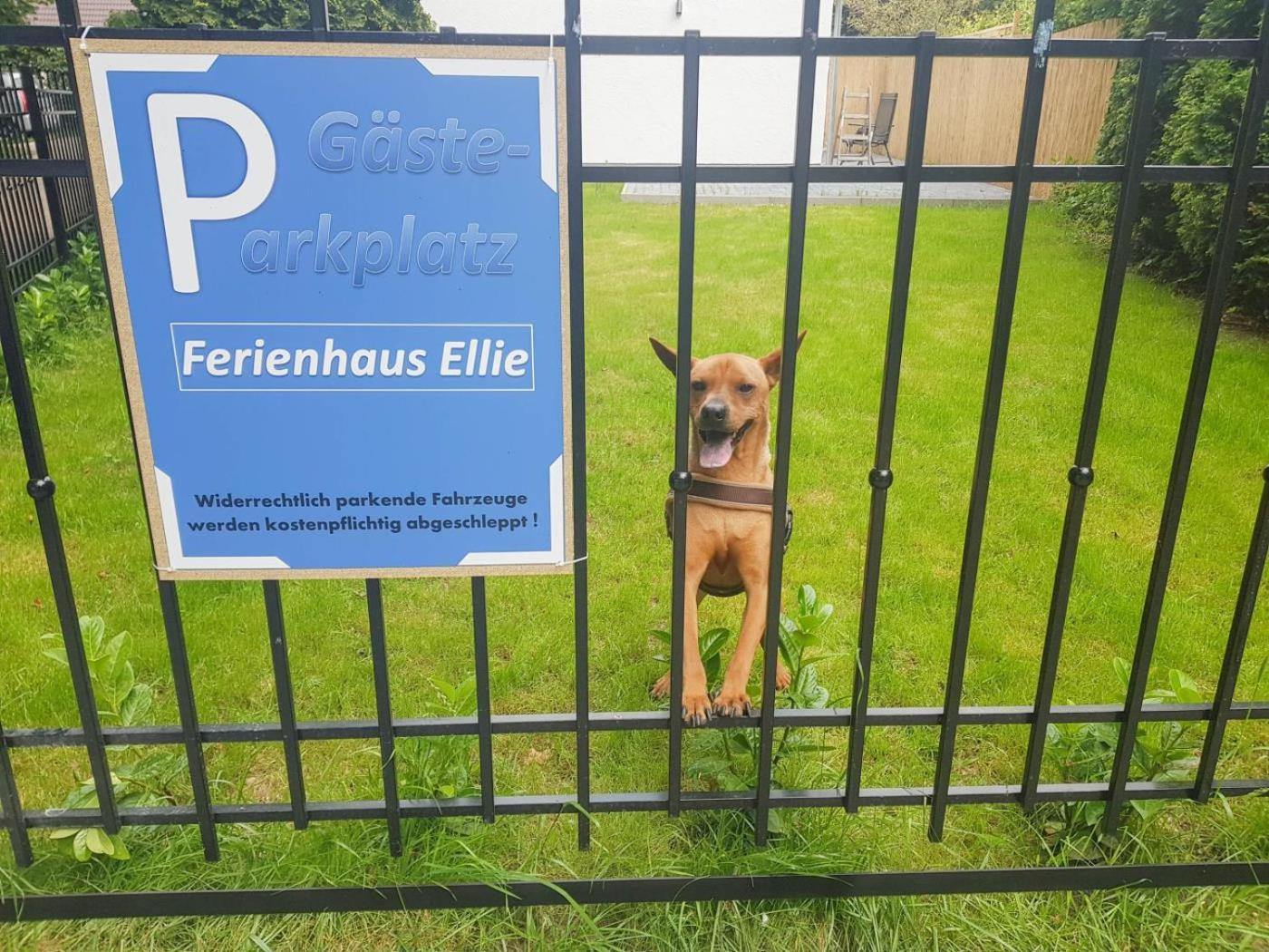 Ferienhaus Ellie Haffkrug Zewnętrze zdjęcie